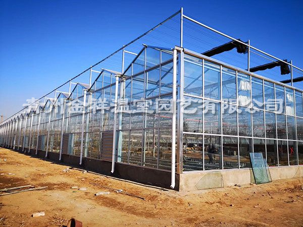 新疆阿克蘇扶貧智能溫室